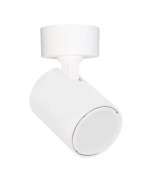 SPOT Adjustable Single Light