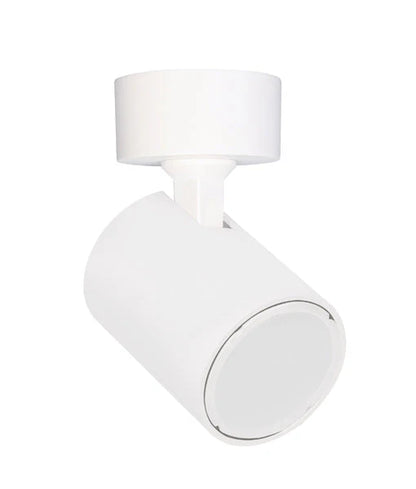 SPOT Adjustable Single Light