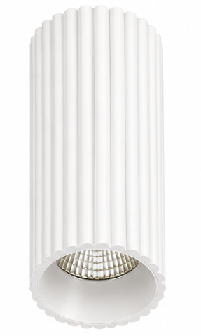 Ridge Surface Mount LED Downlight