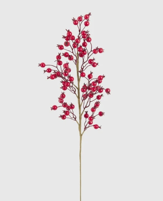 Gloss Berry Stem Red