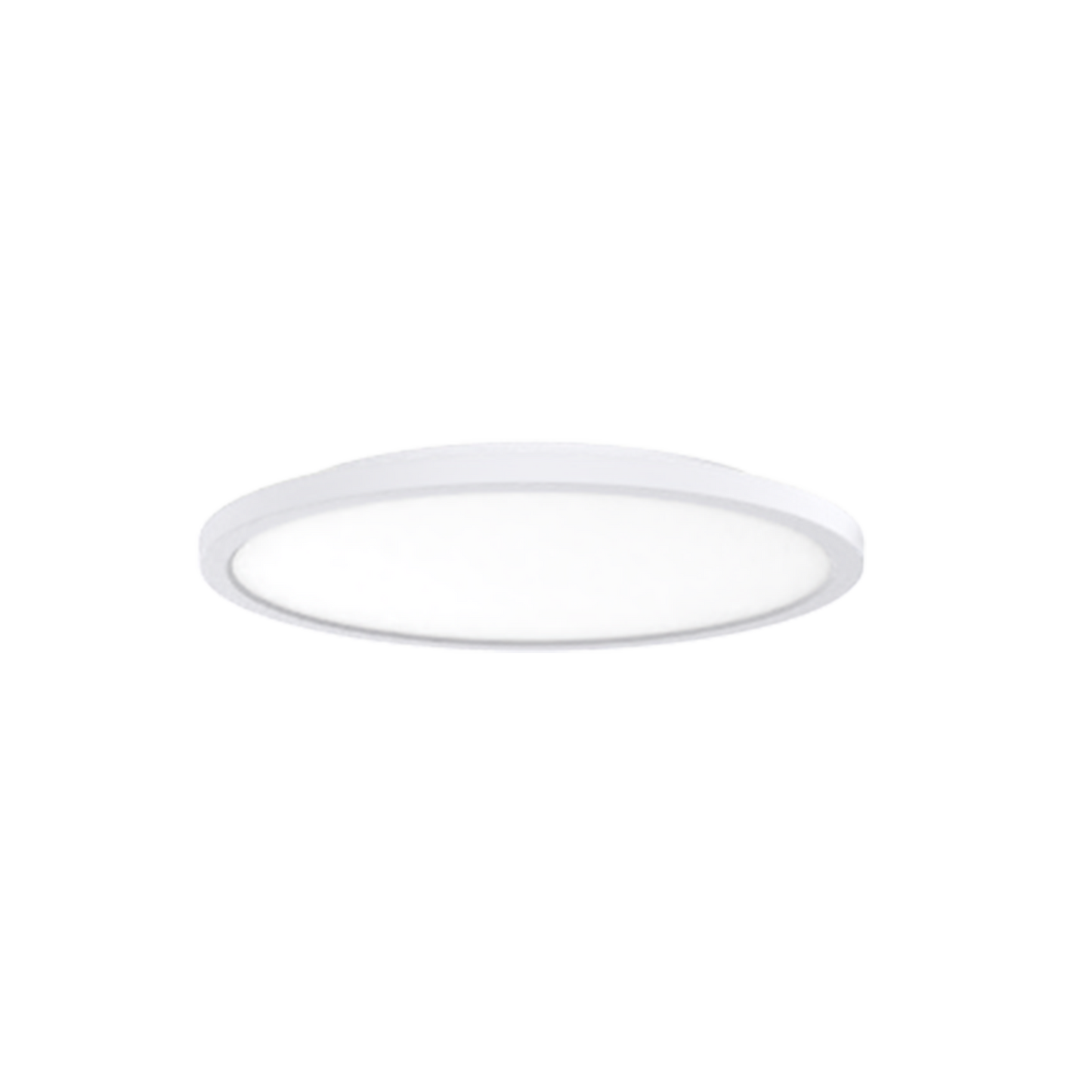 Spectra LED Oyster Light