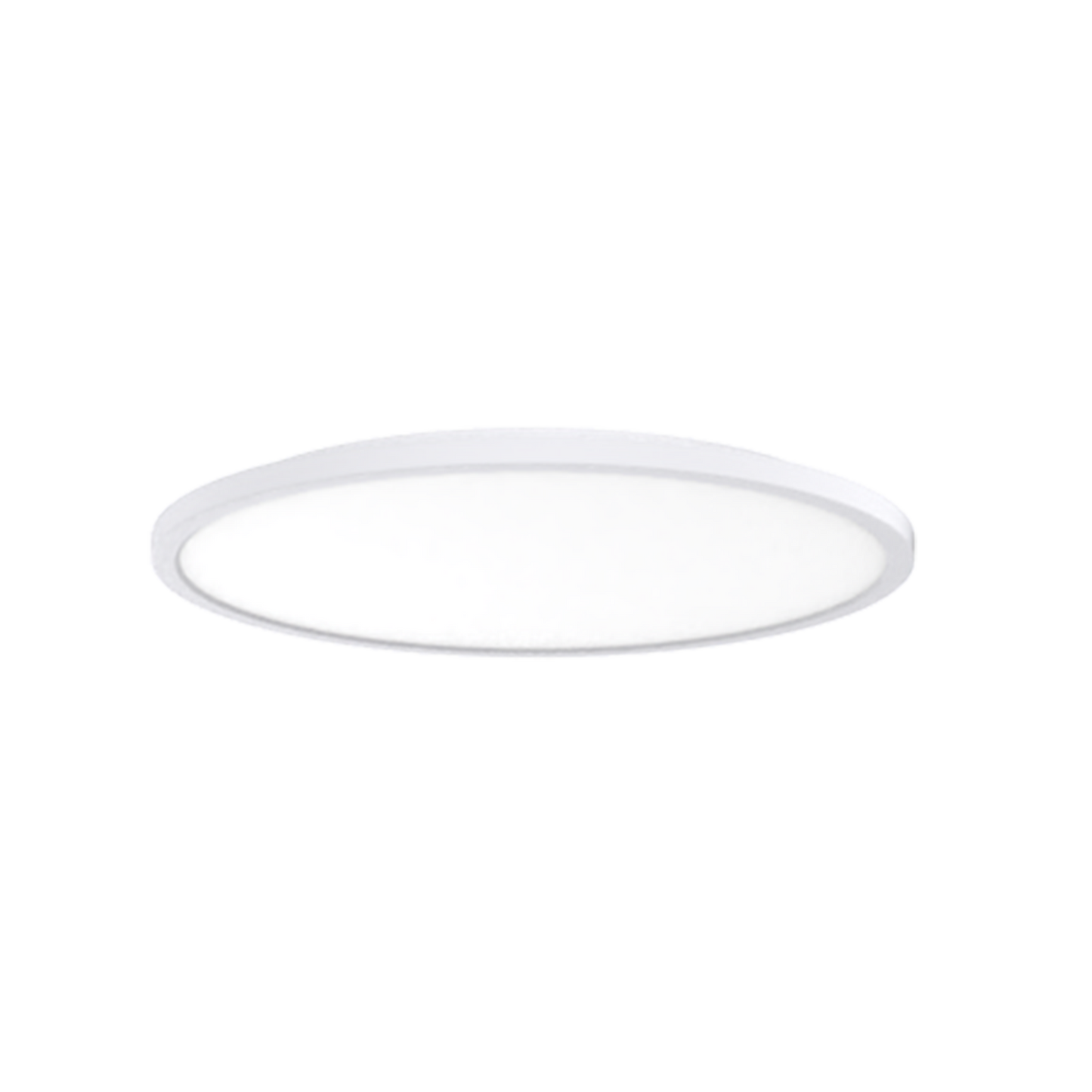 Spectra LED Oyster Light