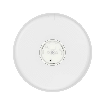 Spectra LED Oyster Light