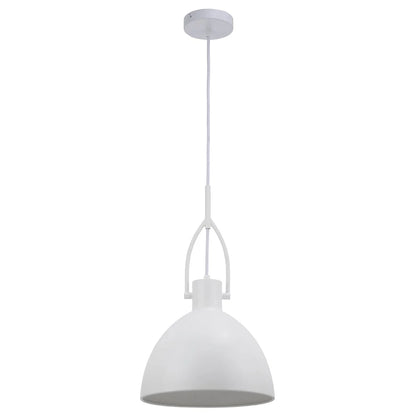 Terrence 1 Light Pendant