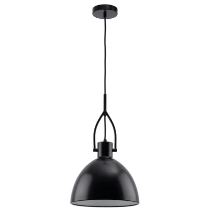 Terrence 1 Light Pendant