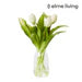 Tulip-Harnan Vase