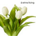Tulip-Harnan Vase