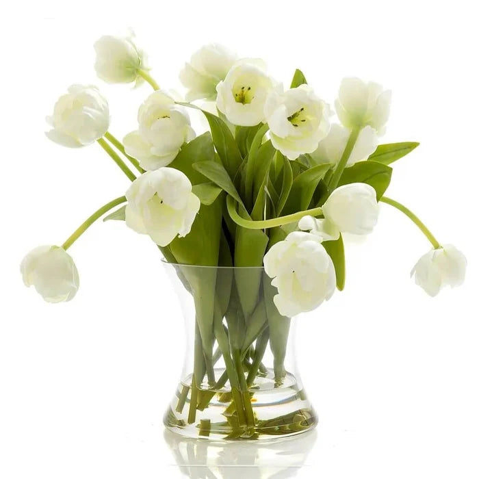 Tulip in Water in Glass Vase White