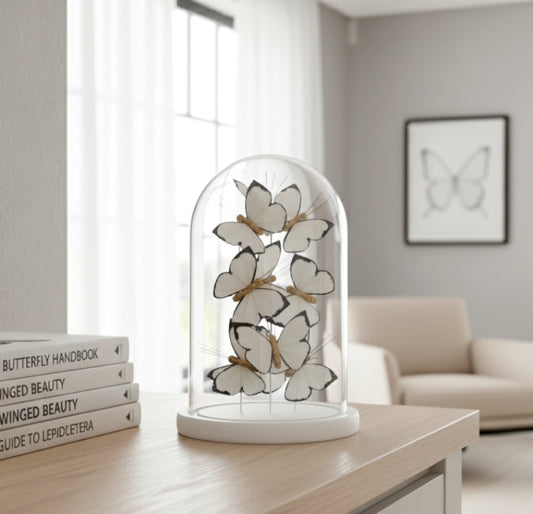 Butterfly Dome Cloche White