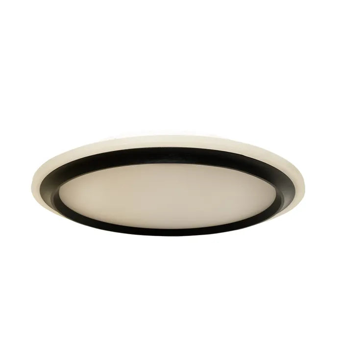 Duke Oyster Light