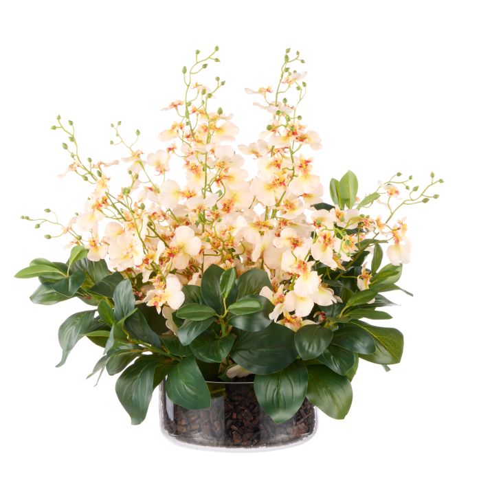 Rogue Dancing Orchid-Small Madelyn Bowl Cream