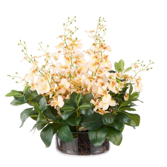 Rogue Dancing Orchid-Small Madelyn Bowl Cream