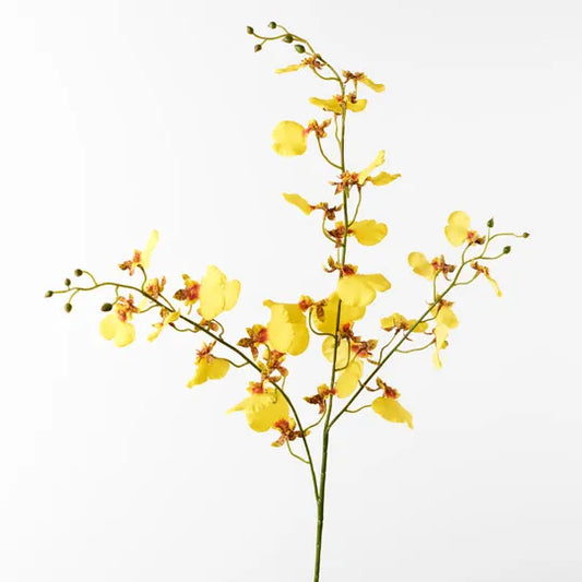 Orchid Dancing