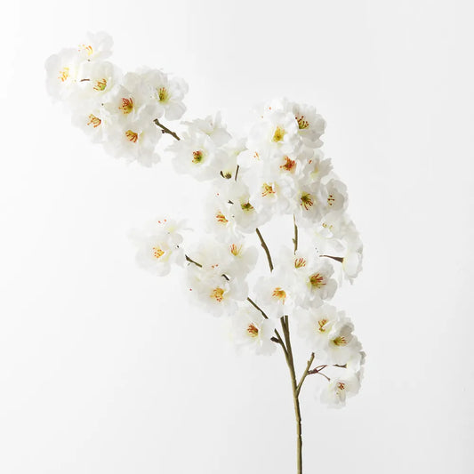 Blossom Apple Stem