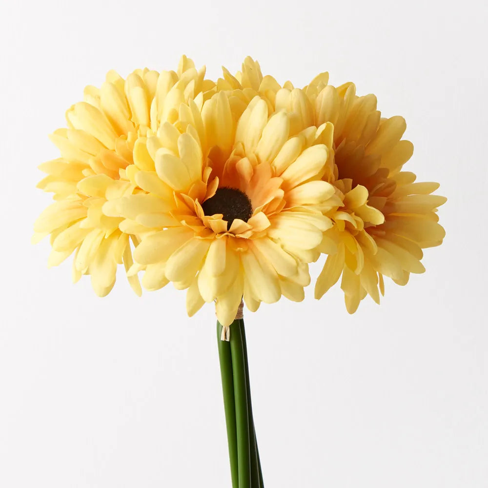 Gerbera Bouquet