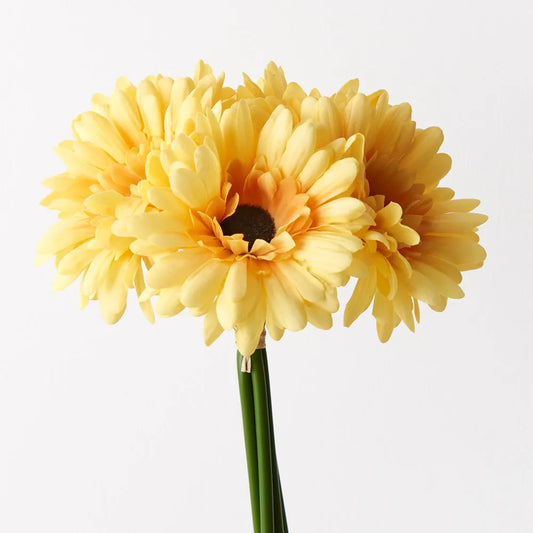 Gerbera Bouquet