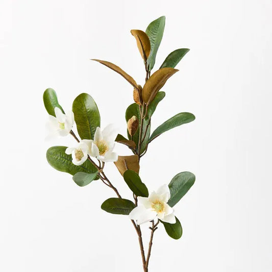 Magnolia Pearl Spray White