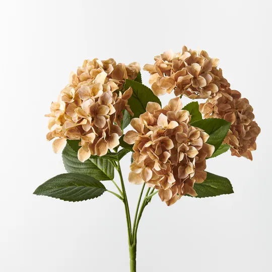Hydrangea Bush Stem - Coffee