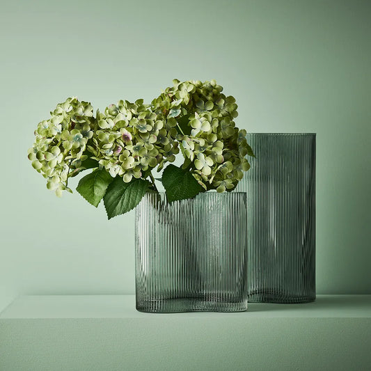 Hydrangea Bush Green