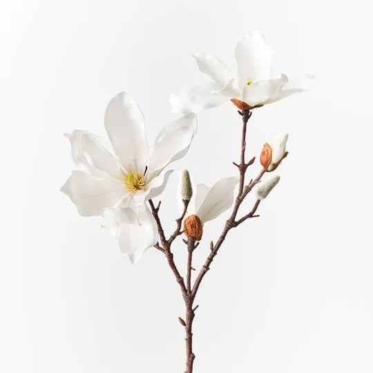 Magnolia Japanese Spray - FI10545WH