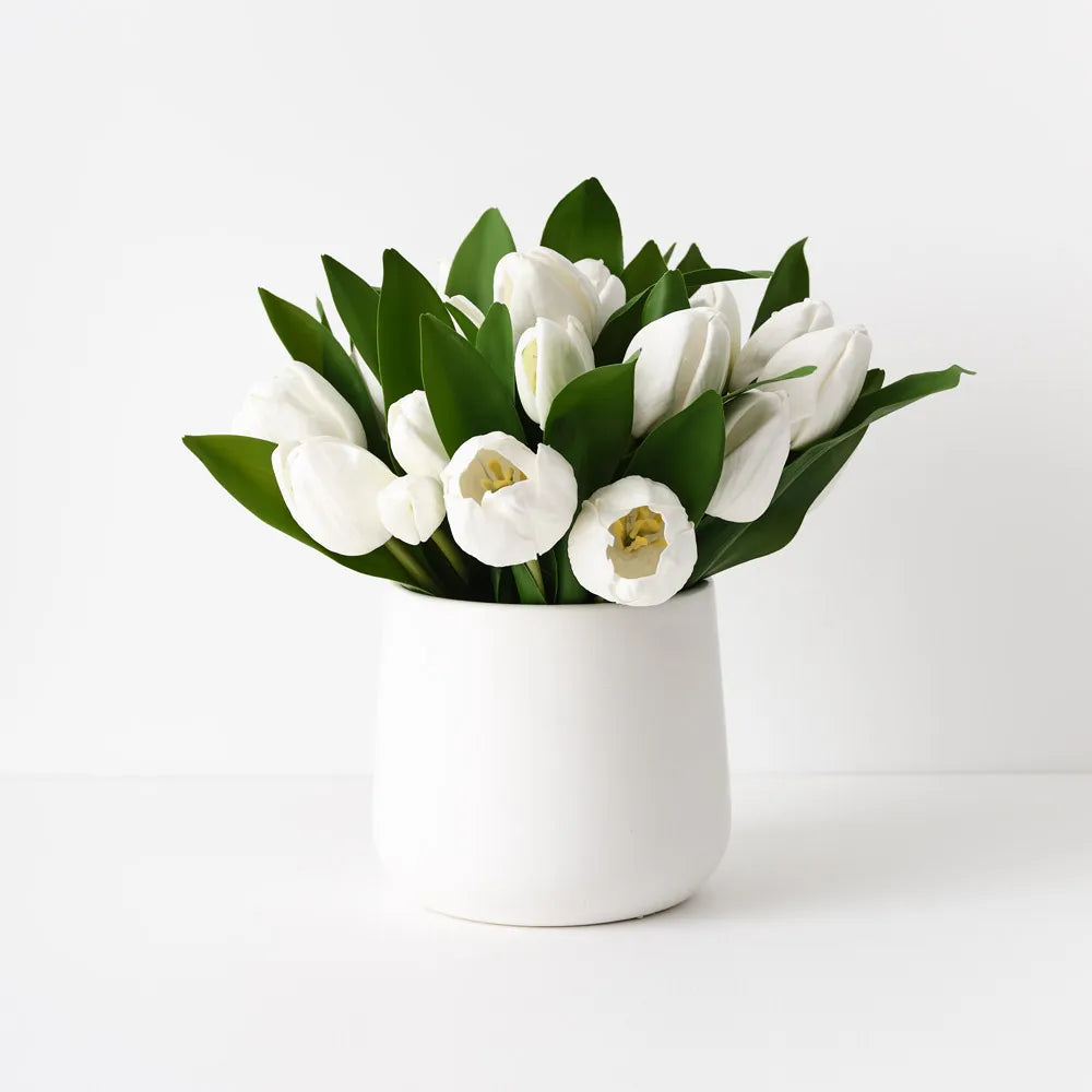 Tulip Mix in Pot-White