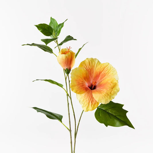 Hibiscus Spray Yellow