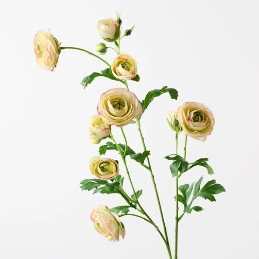 Ranunculus Spray