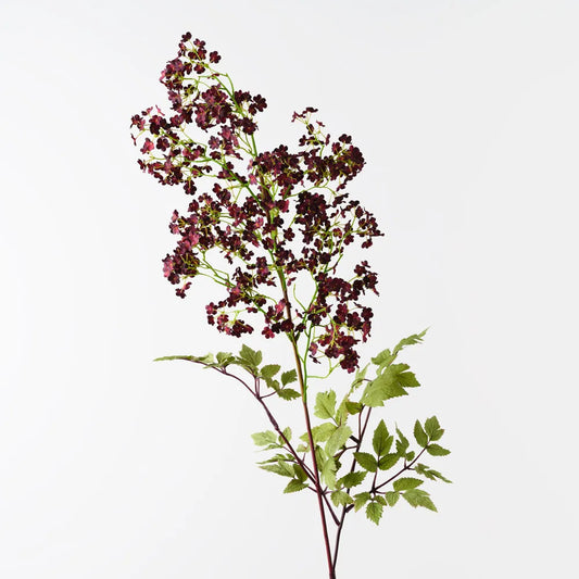 Cohosh Flowering Spray Burgundy