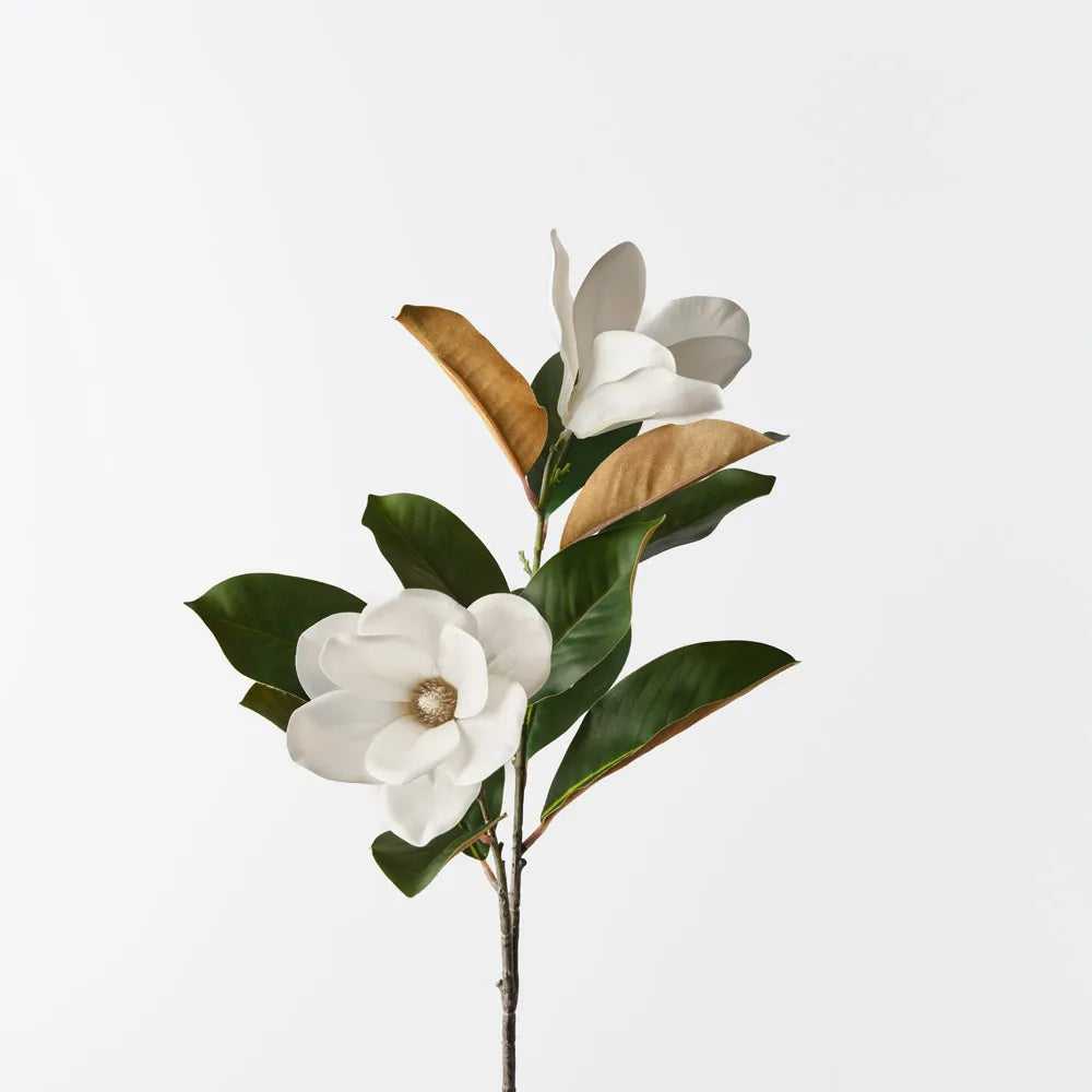 Magnolia Tree Spray White