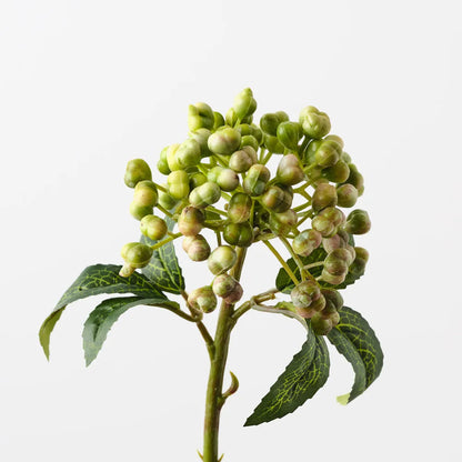 Berry Pick Green Stem