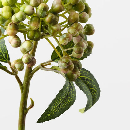 Berry Pick Green Stem