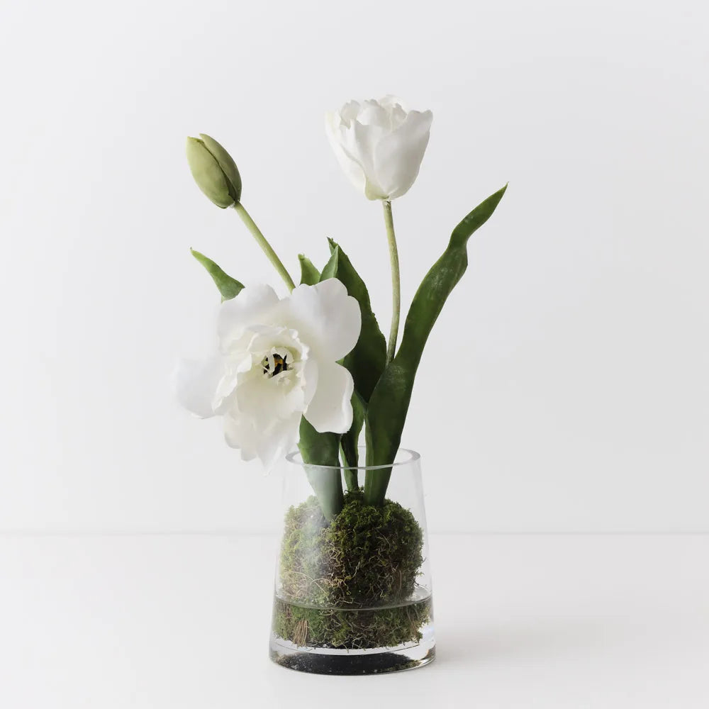 Tulip Hybrid Mix in Vase