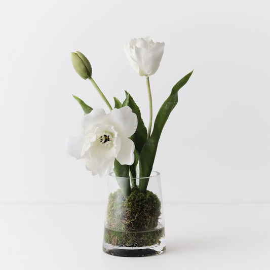 Tulip Hybrid Mix in Vase