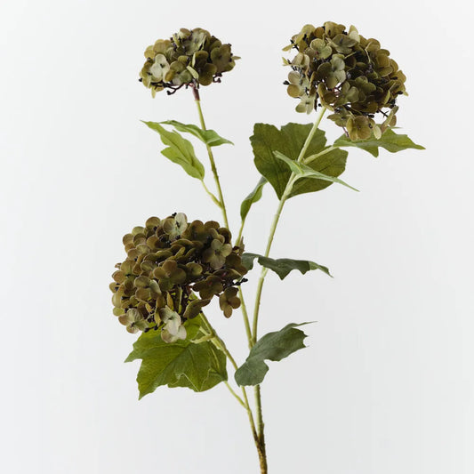 Hydrangea Spray Olive
