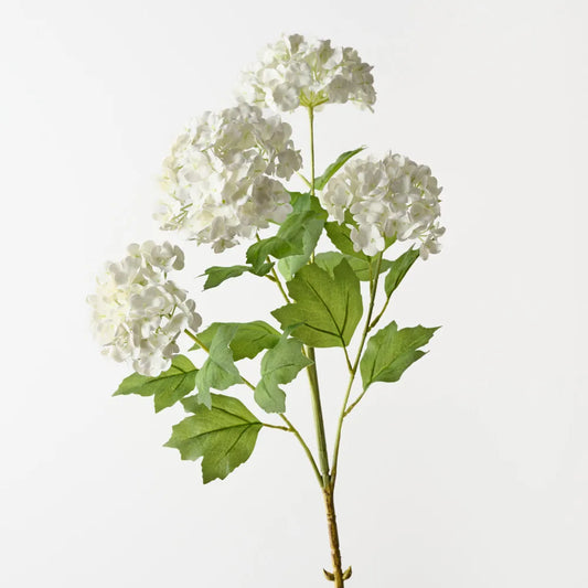 Snowball Spray Stem