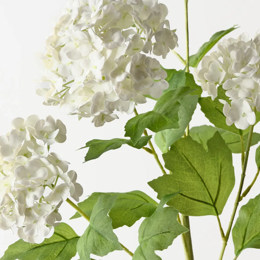 Snowball Spray Stem