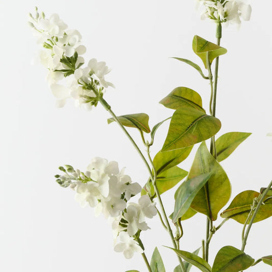 Lilac Bud Spray White