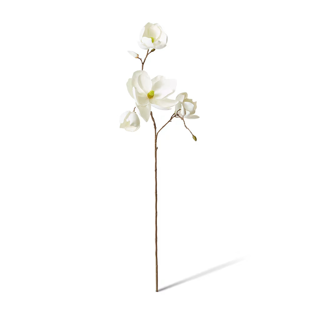 Magnolia Winter Spray White