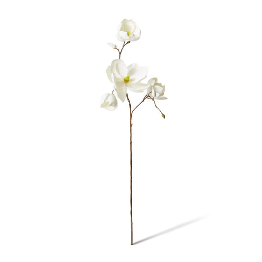 Magnolia Winter Spray White