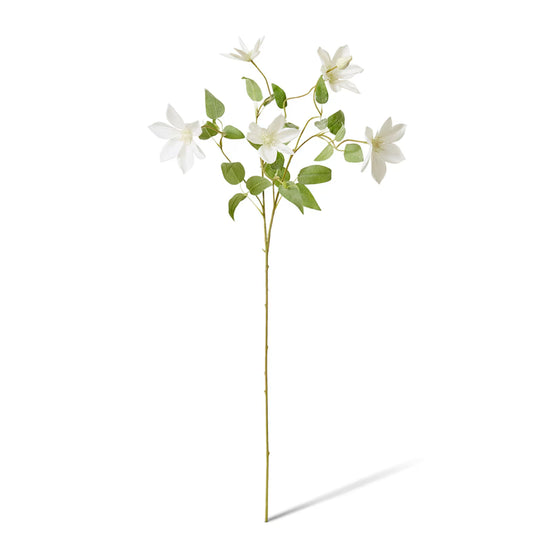 Clematis Flower Spray White