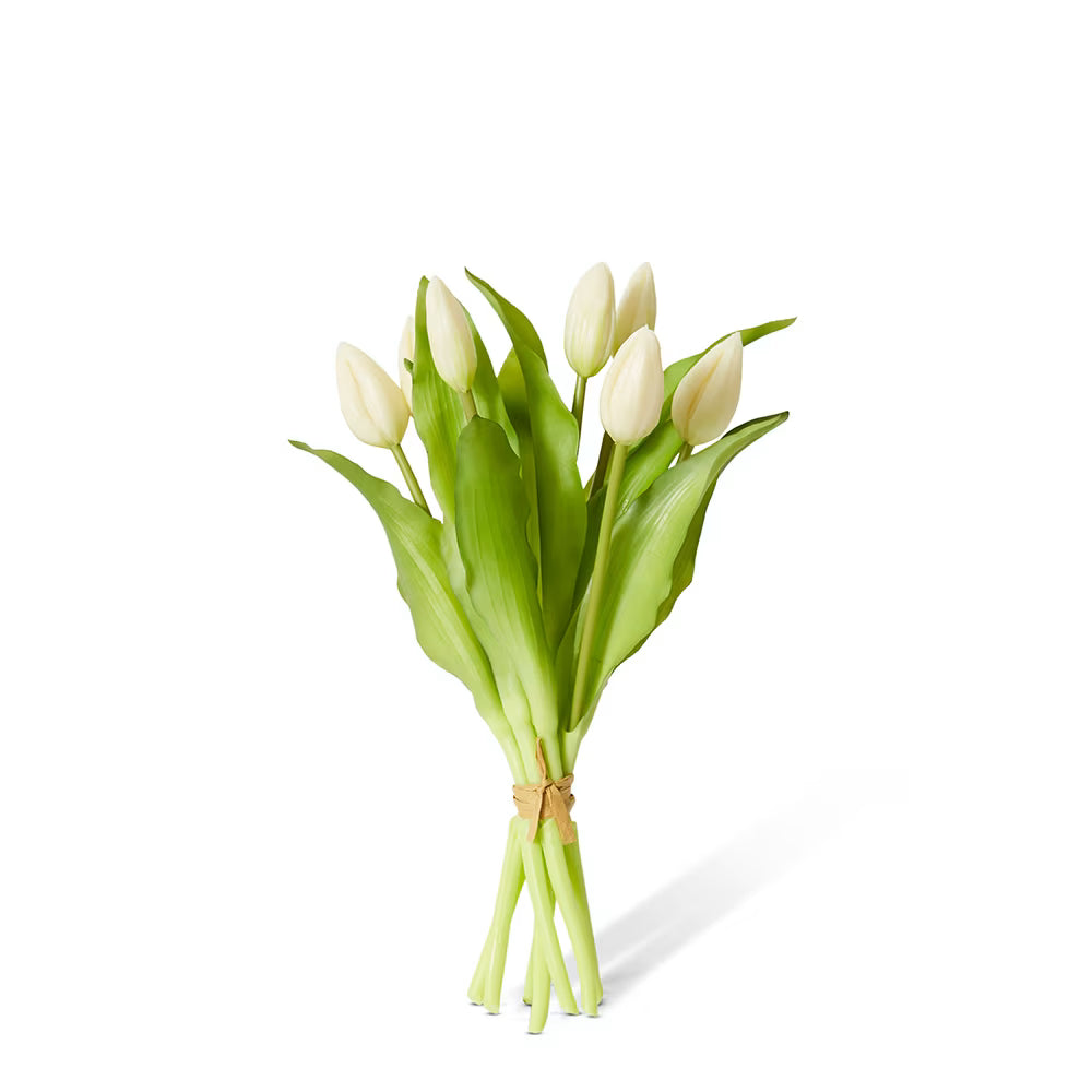 Tulip Bud Bundle