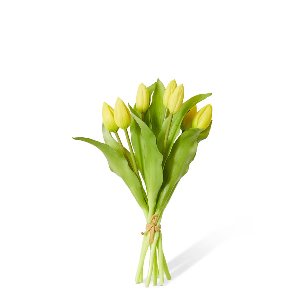Tulip Bud Bundle
