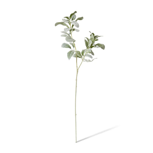 Lambs Ear Leaf Spray Grey/Green
