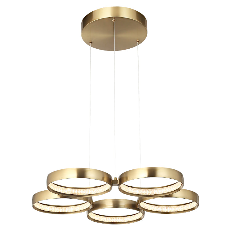Olympus LED Ring Light Pendant