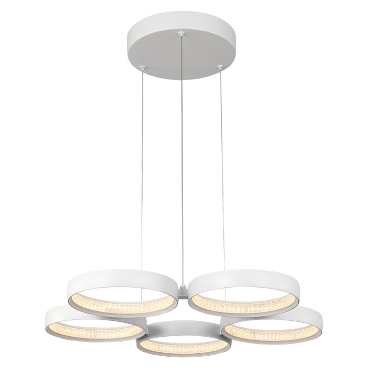Olympus LED Ring Light Pendant