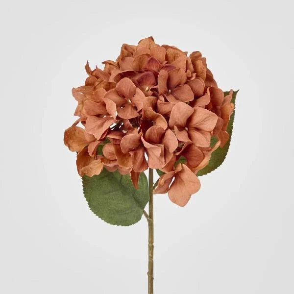 Hydrangea Stem 69cm Brown