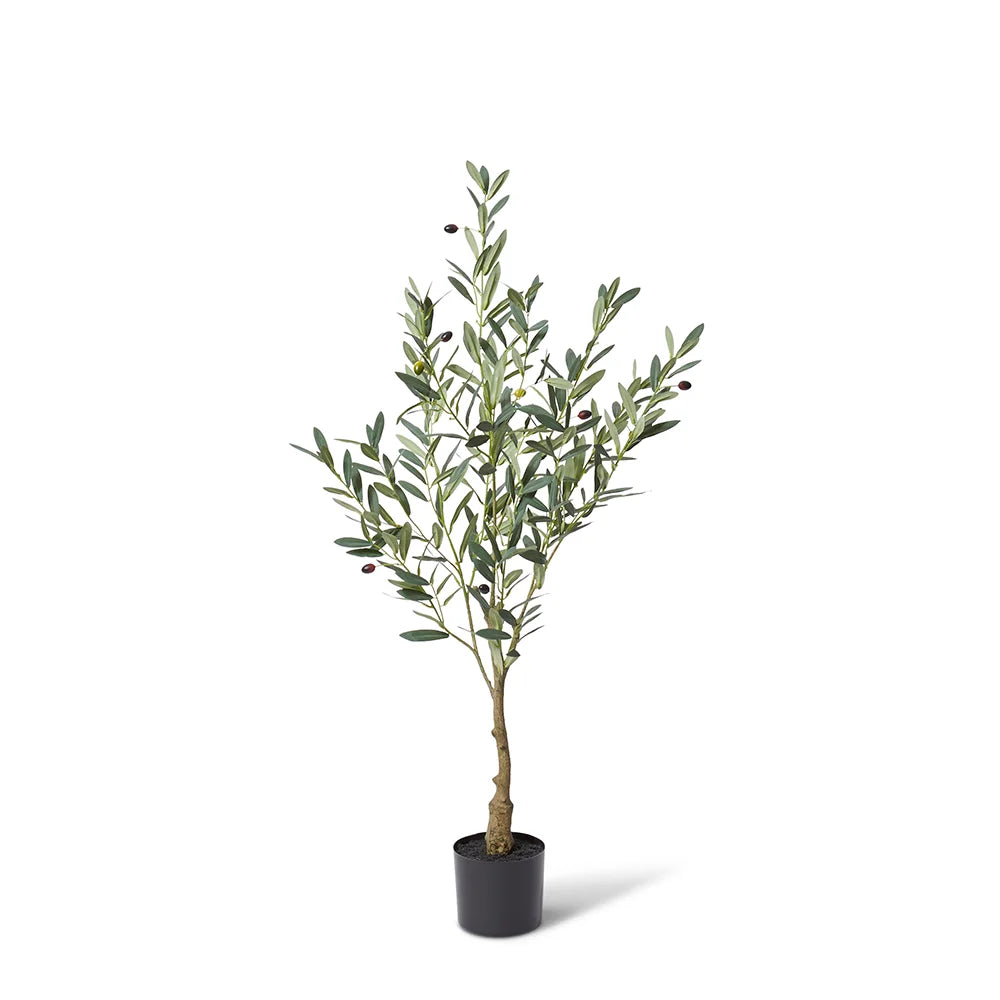 Olive Grey/Green Tree 120cm