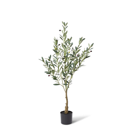 Olive Grey/Green Tree 120cm