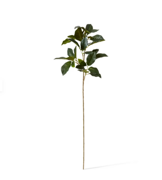 Viburnum Spray Green